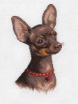 (image for) Toy Terrier